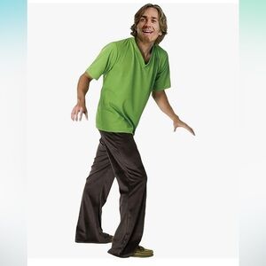 Green V-Neck T-Shirt, Brown Pants, and Wig